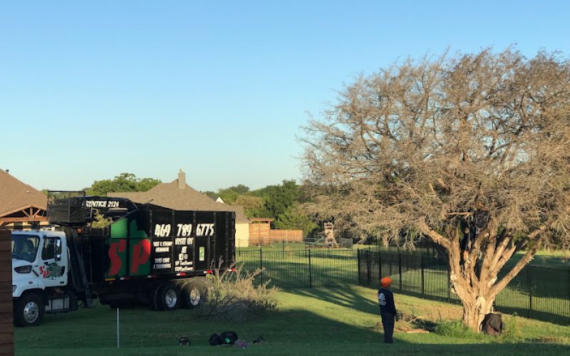 S&P Tree Service — Tree service in Grand Prairie