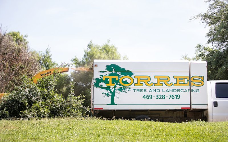 Torres Tree Service and Landscaping — Tree service in Grand Prairie