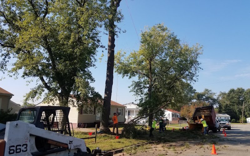 Poquoson Tree and Crane Service