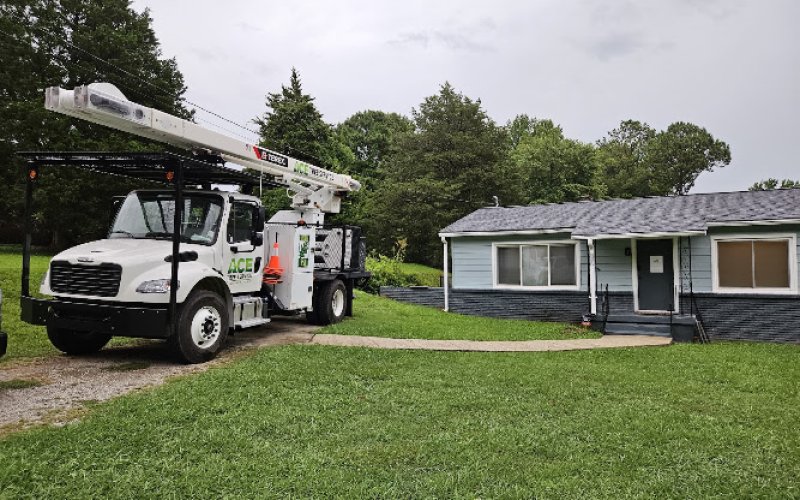 ACE Tree Service