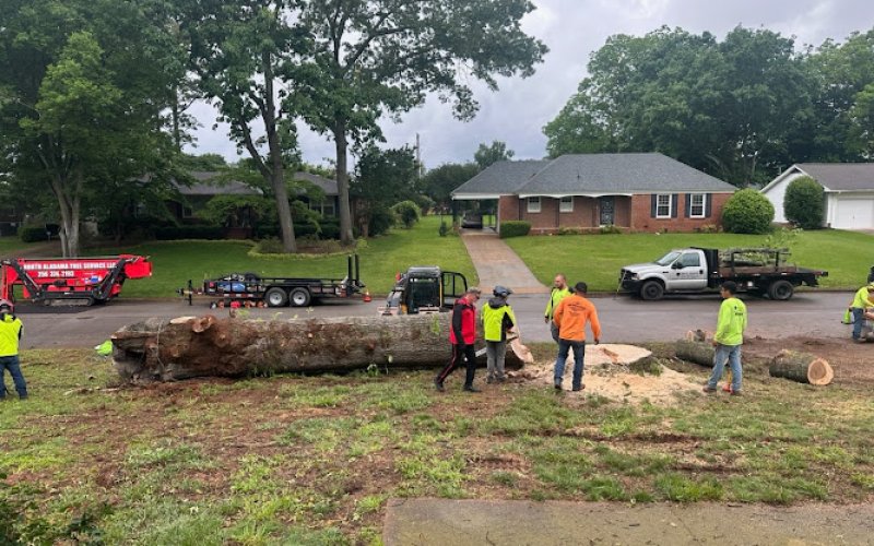 North Alabama Tree Service
