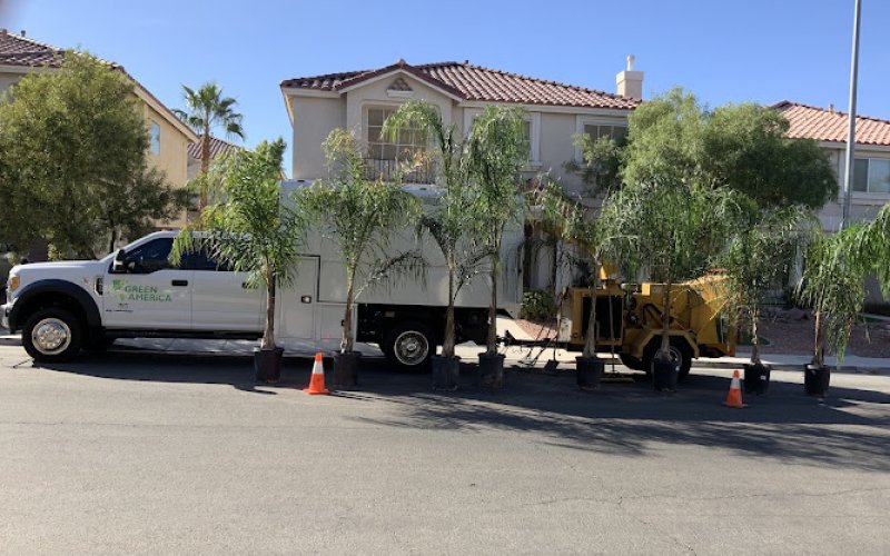 Green America Tree & Landscaping LLC