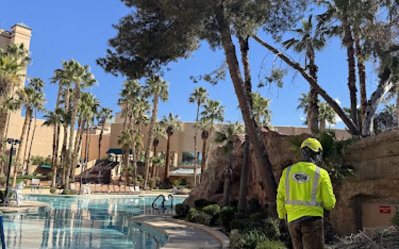 Noble Tree Service Inc.