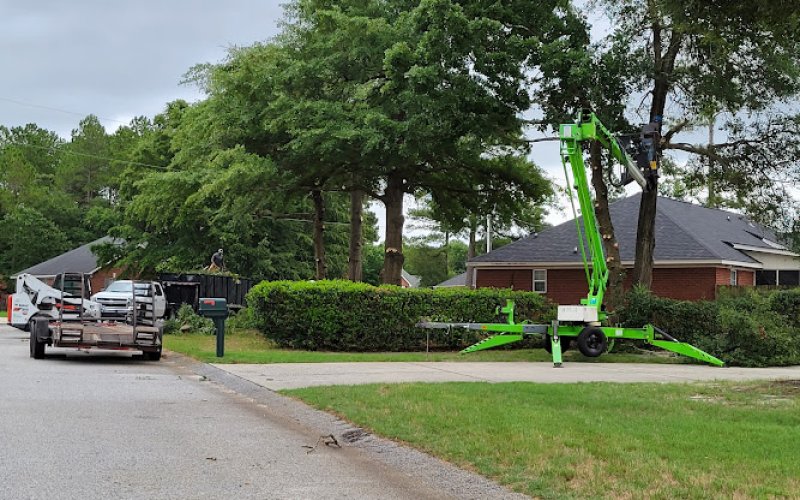 Trees Unlimited of the CSRA, LLC. — Tree service in Hephzibah