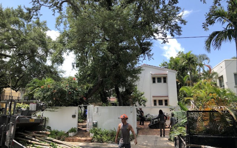 True Tree Service
