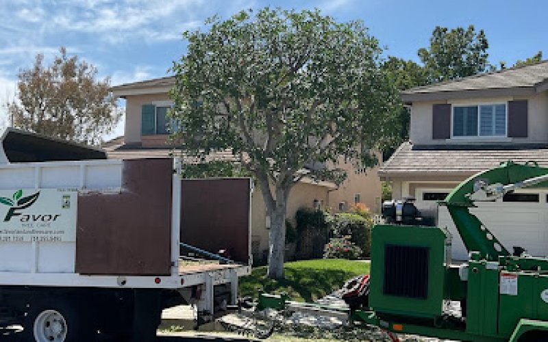 Favor Tree Care