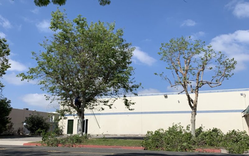 Sotero Fernandez Tree Care Inc
