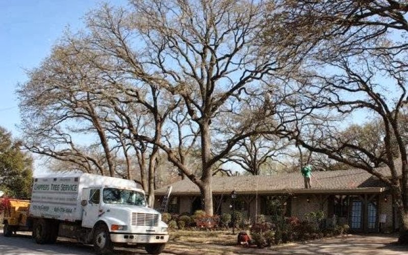Chippers Tree Service