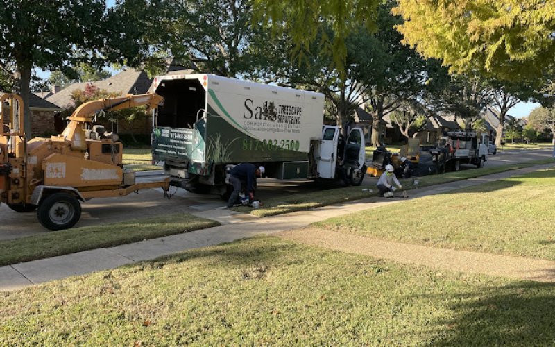 Sal's Landscape & Tree Service