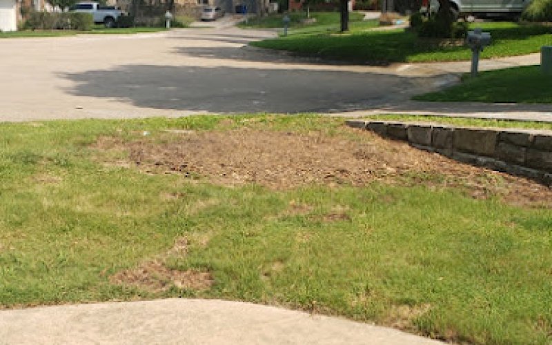 Torres Tree Service and Landscaping