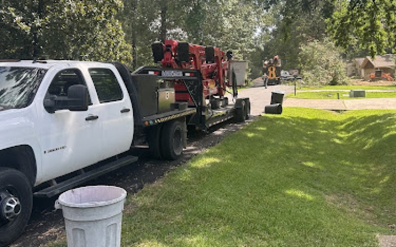 Couch Tree Service