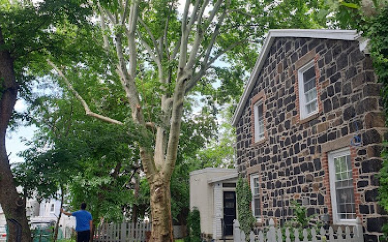 Creative Tree Service