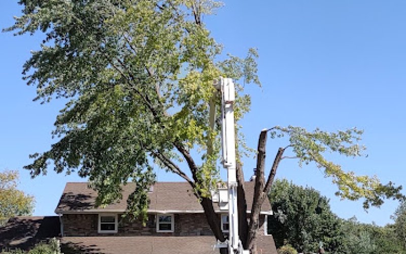 Arbor Tek Landscape Services Inc