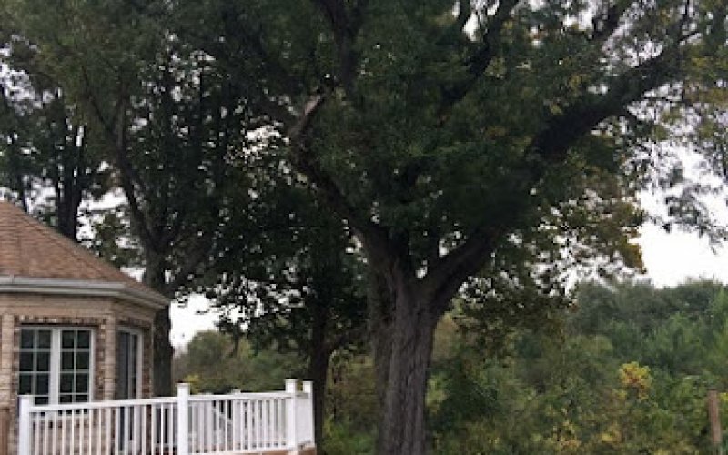 Butlers Tree Service