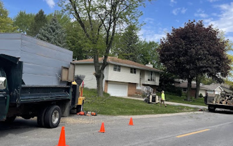 Mendoza Tree Service