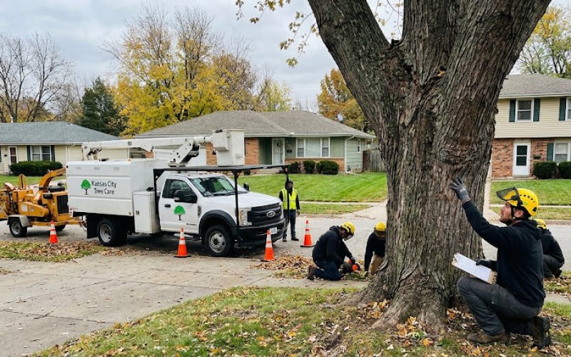 Kansas City Tree Care LLC