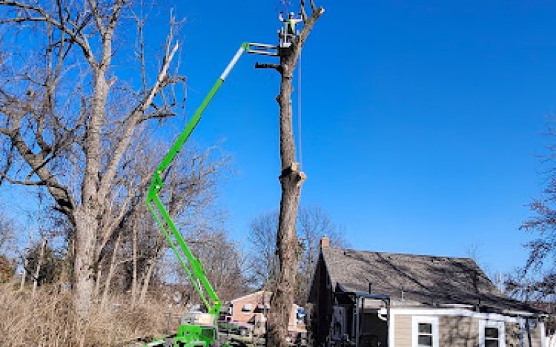 New Leaf Tree Service Kansas City