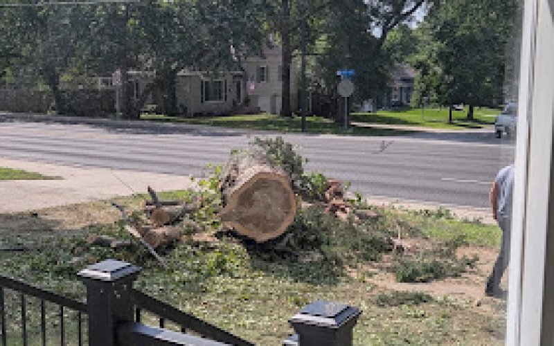 Wood's Tree Service and Landscaping LLC