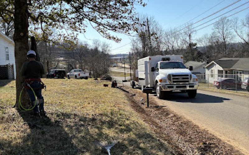 Expert Trees LLC — Arborist service in Knoxville
