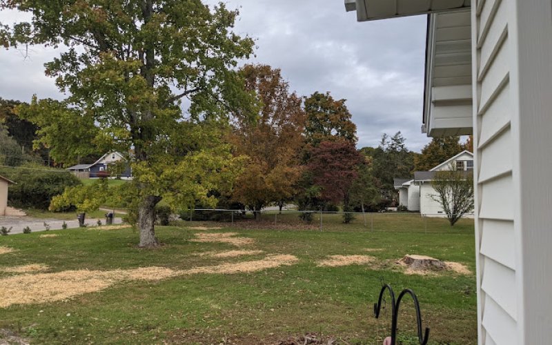 First Choice Lawn & Tree Service