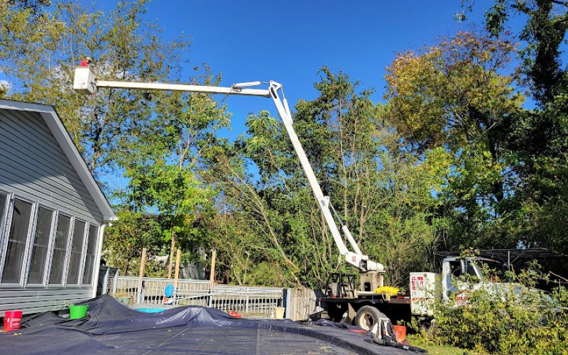 Mencer's Tree Service