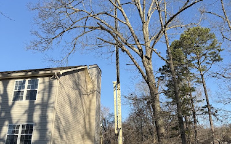 Smoky Mountain Tree Service