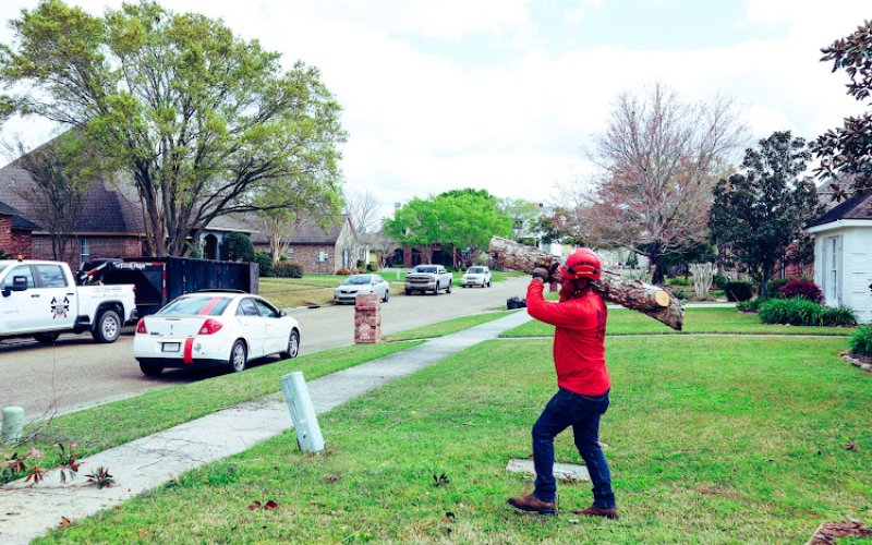 A Cajun Tree Cutters