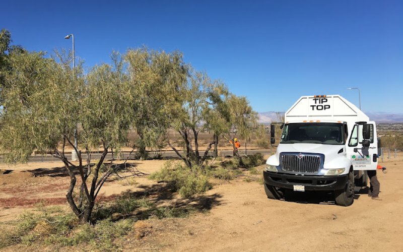 Tip Top Arborists