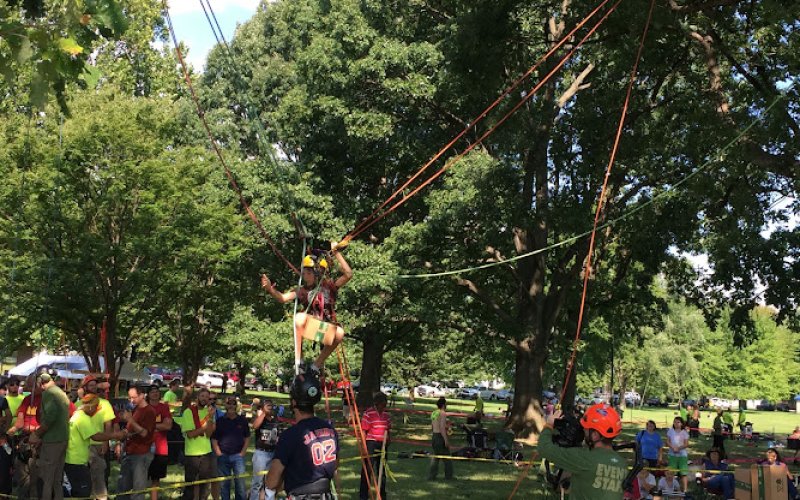 Dewitt Tree Care