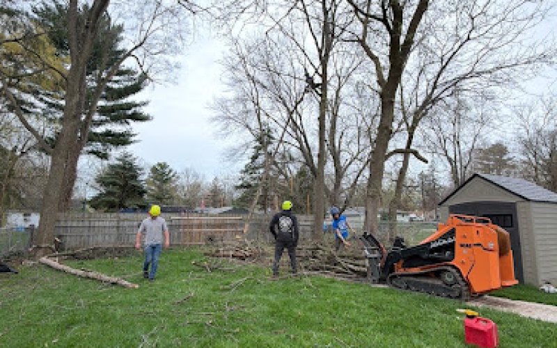 Lou's Cutting Edge Tree Service