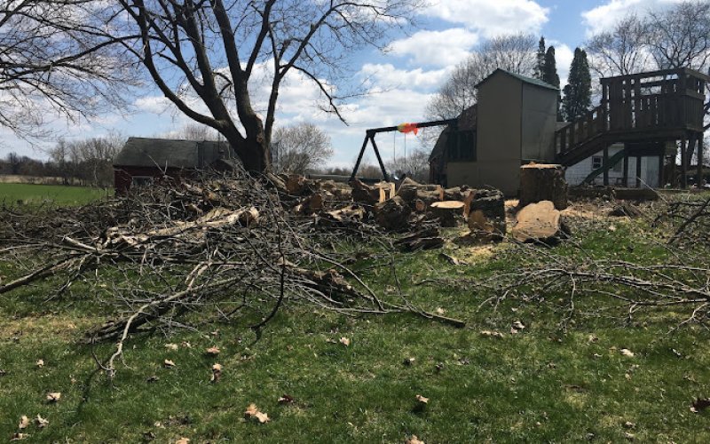 SK TREE SERVICE