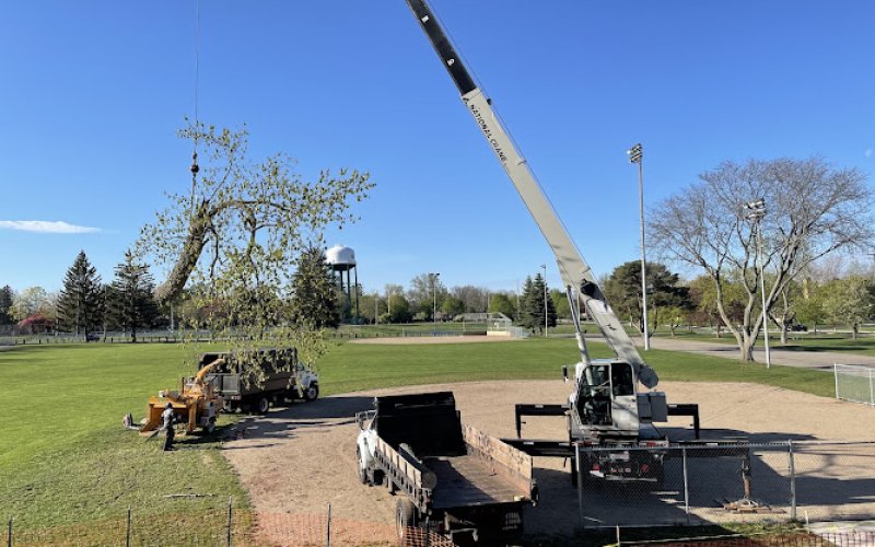 Top Notch Tree Care