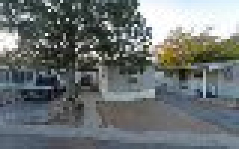 City of the Crosses Tree — Tree service in Las Cruces