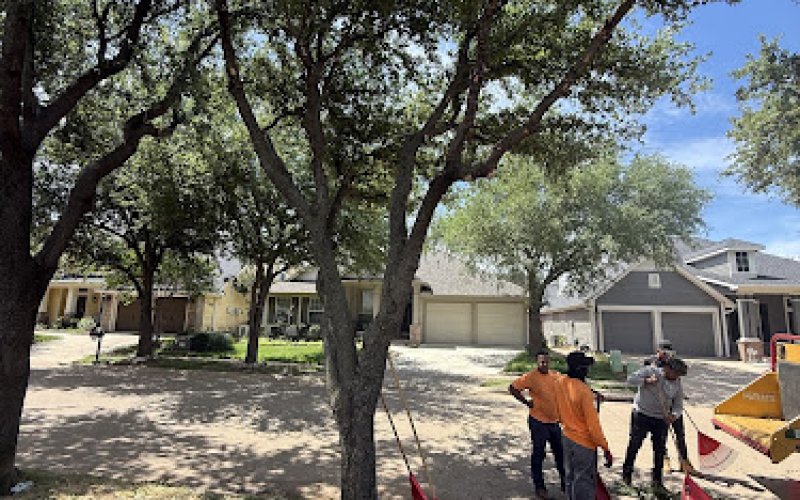 1-2-Tree LLC — Tree service in Lewisville
