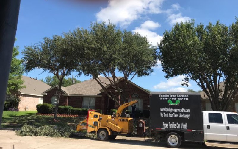 Family Tree Service — Tree service in Lewisville