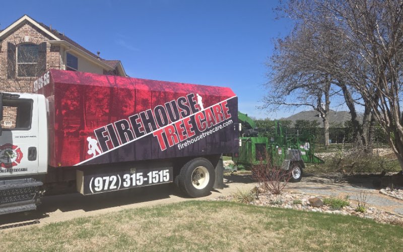 Firehouse Tree Care — Tree service in Lewisville
