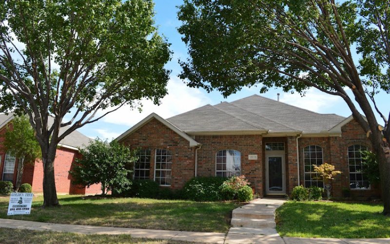 Golden Tree Maintenance — Tree service in Lewisville