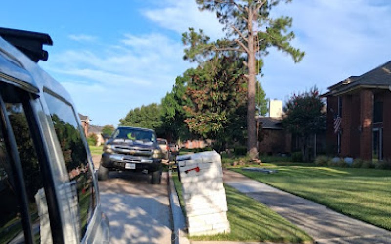 Tree Crew — Tree service in Lewisville