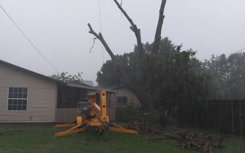 Tree Service Pro — Tree service in Lewisville