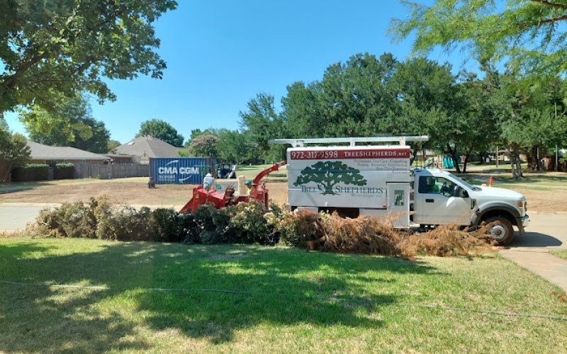 Tree Shepherds — Tree service in Lewisville