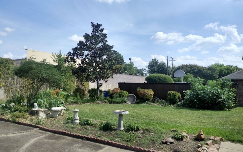 U.S. Tree Care Service Carrollton — Tree service in Lewisville
