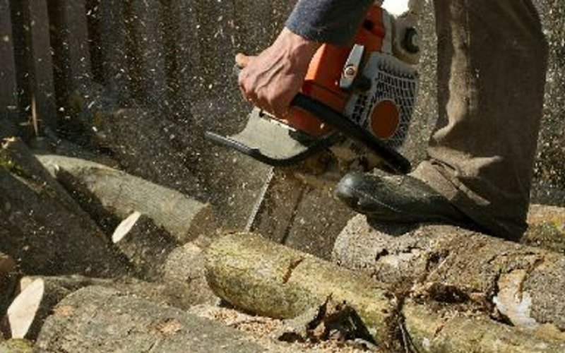 A+ Treeworks