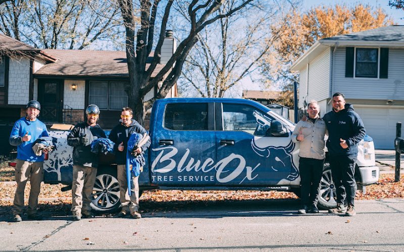 Blue Ox Tree Service