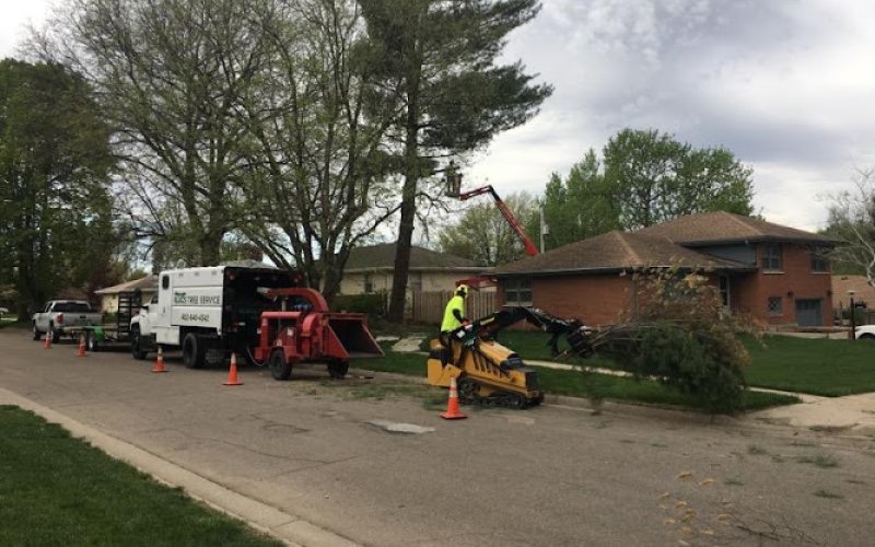 Klug's Tree Service