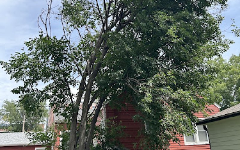 Total Tree Care