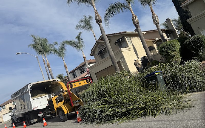 RmTreeCare