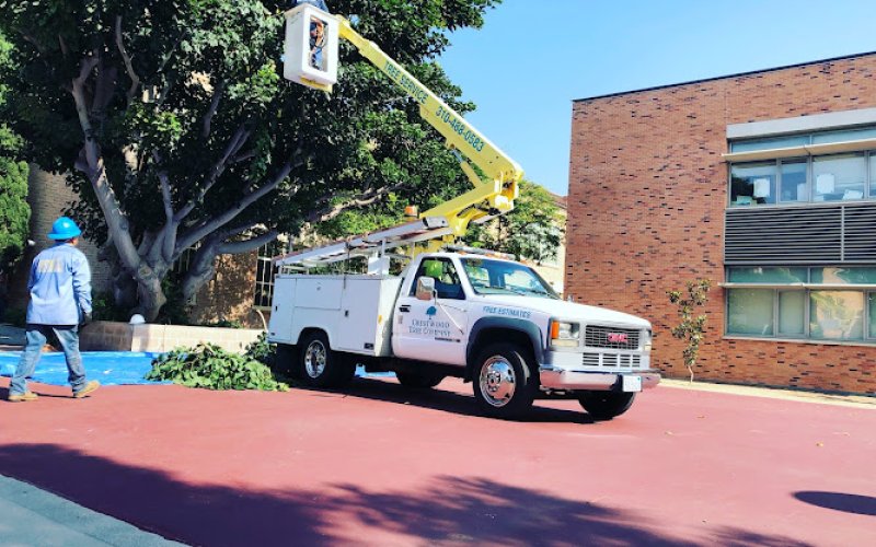 Crestwood Tree Care