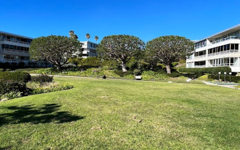 REYNOSO TREE SERVICE LLC- Reliable Tree Service - Hawthorne