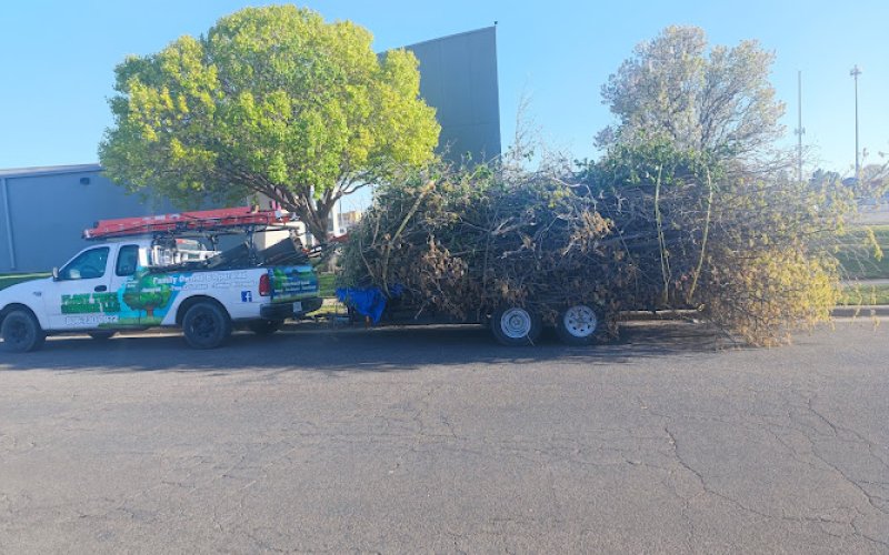 Flocy Tree Service