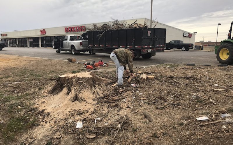 Tomcat's Tree Service LLC